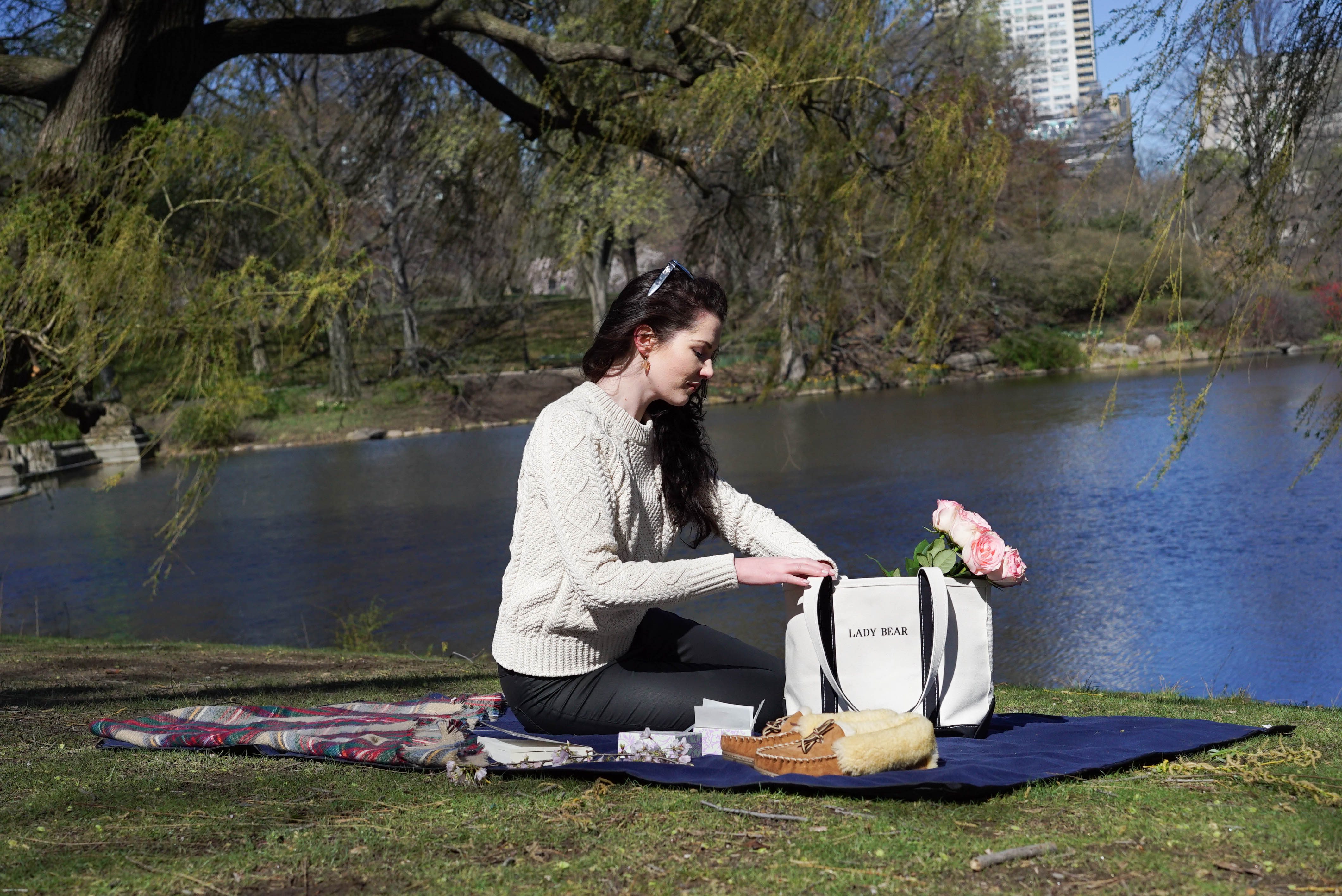 CENTRAL PARK PICNIC