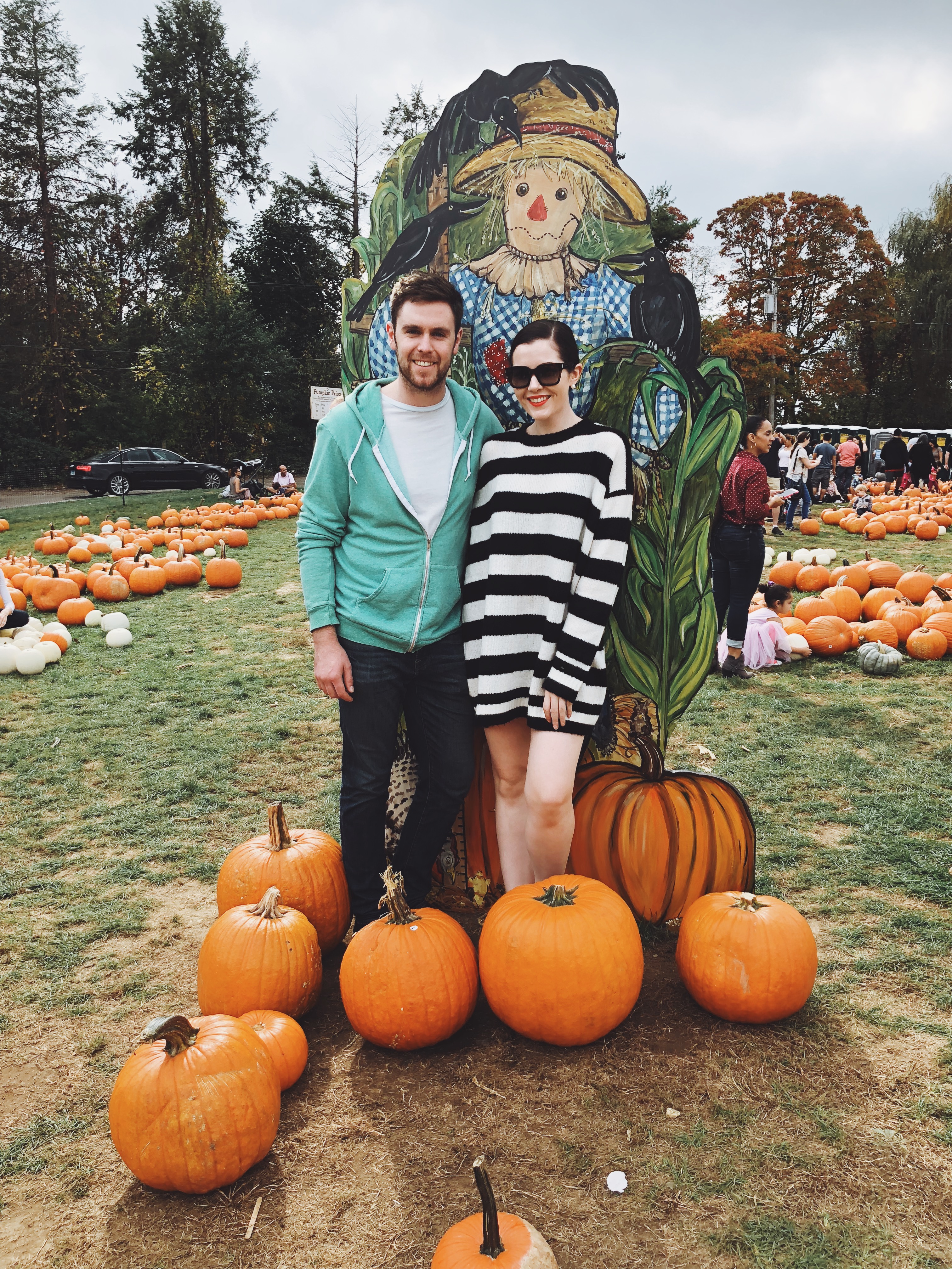 WHERE TO GO PUMPKIN PICKING NEW YORK