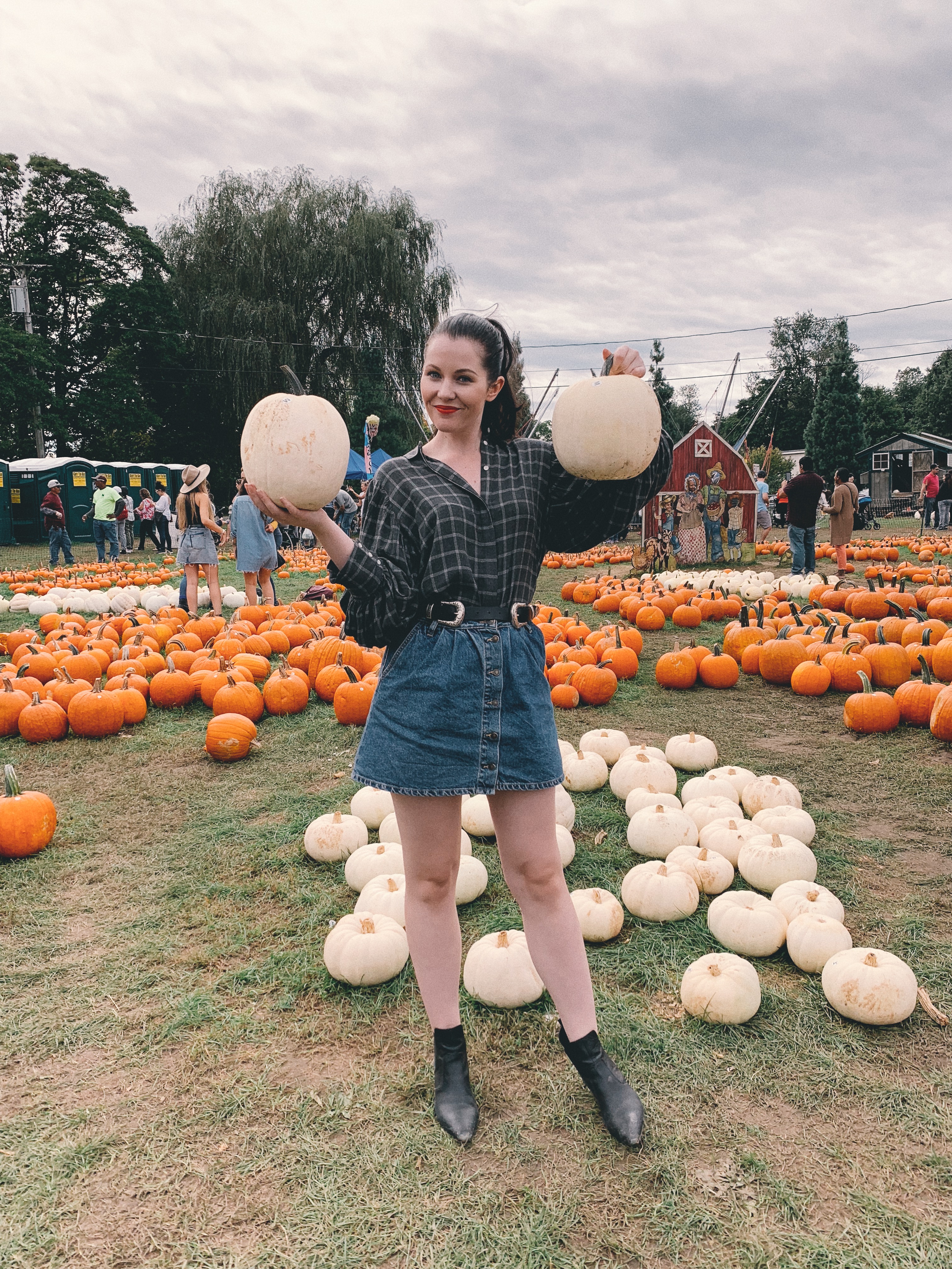 Pumpkin Picking New York